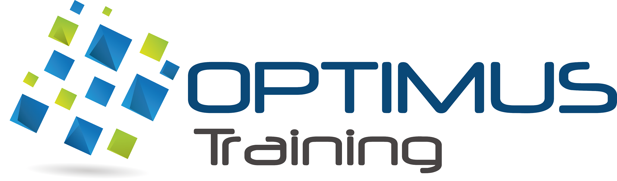 Optimus Training
